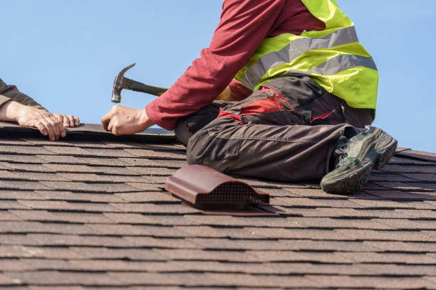 Gutter Installation and Roofing in Olympia, SC