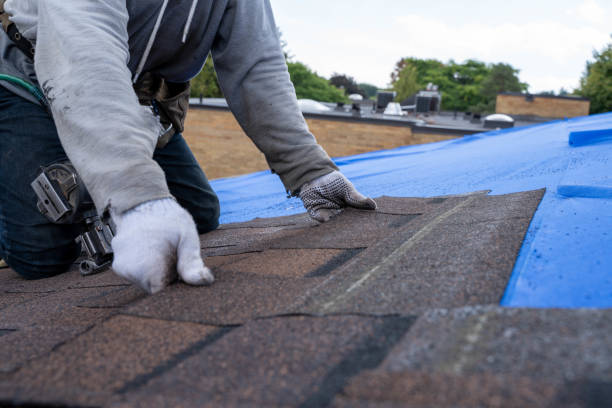 Quick and Trustworthy Emergency Roof Repair Services in Olympia, SC