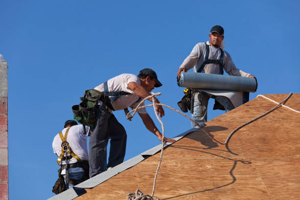 Roof Waterproofing Services in Olympia, SC